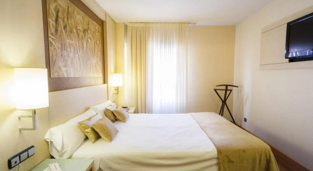 Hotel Condes de Haro