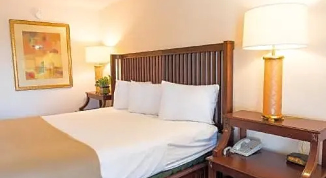 Run of House Vista Inn & Suites Tampa