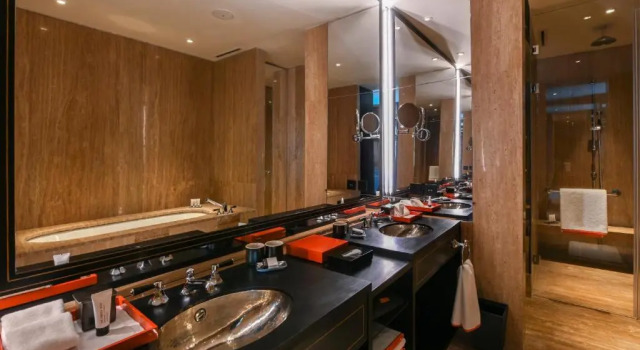 Двухместный люкс Grand Grand Hyatt Gurgaon