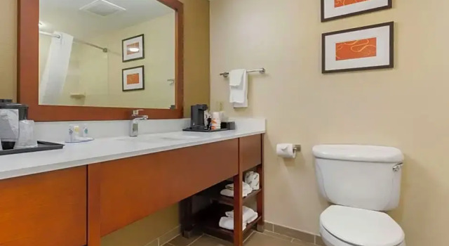 Четырёхместный люкс Comfort Inn & Suites Cordele