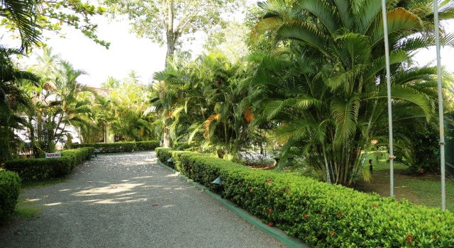 Villa Araliya