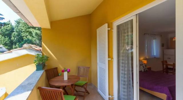 Двухместная студия Standard Franulovic Apartments