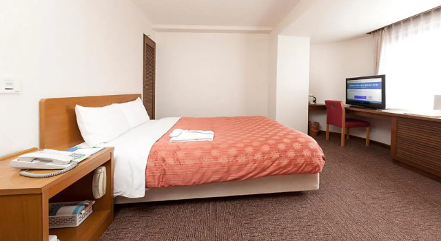 Двухместный номер Standard Kumegawa Wing Hotel