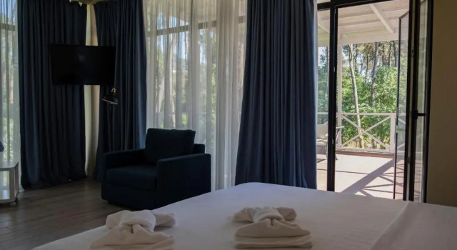 Люкс Buxus Hotel Shekvetili