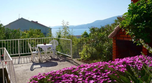 Apartment Ankica