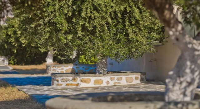 Апартаменты Olive Studios Karpathos Studio #4