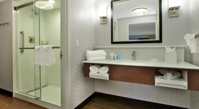Двухместный люкс Sofa bed Hampton Inn & Suites By Hilton - Rockville Centre