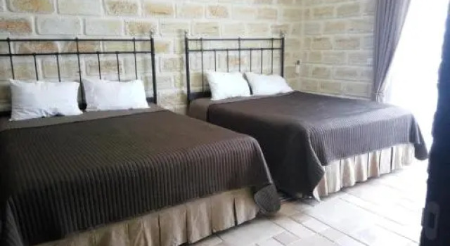 Staraya Podkova Guest House
