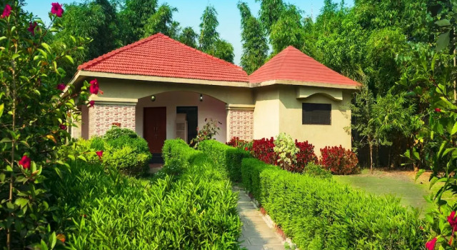 Вилла Premier Olive Resort & Villas