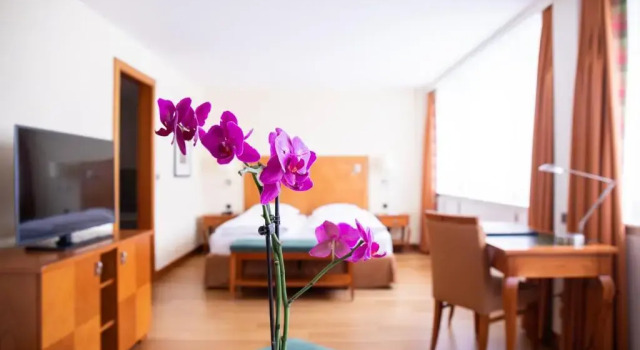 Одноместный номер Superior The Grand Arosa - Pop-Up Hotel Self Check-in
