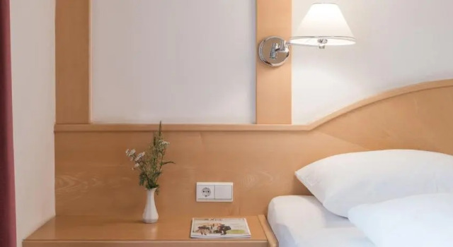 Двухместный номер Standard Parkhotel Plauserhof