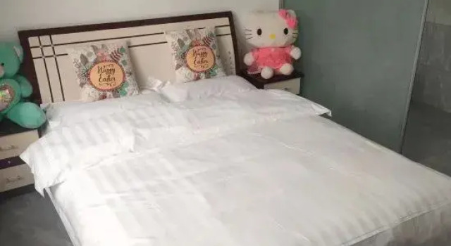 Shaoshi Jingya Homestay, Prenota Hotel zhengzhou Henan