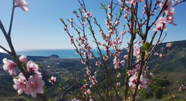 Casale In Vigna, CinqueTerreCoast