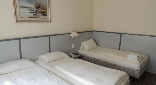 Трёхместный номер Standard Bahn-Hotel