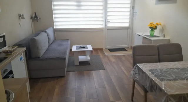 Apartment Vanja