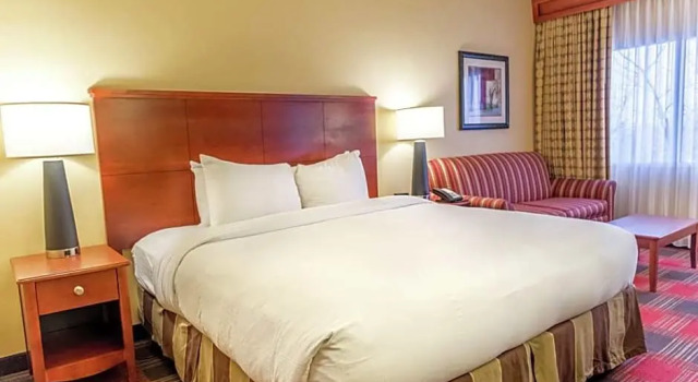 Номер Deluxe DoubleTree by Hilton Holland