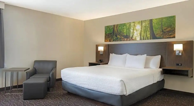 1 soveværelse i dobbelt suite Prince Albert Inn