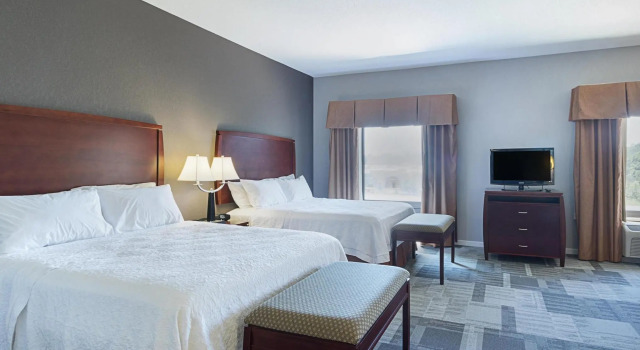 Четырёхместный номер Standard Hampton Inn and Suites Indianapolis/Brownsburg