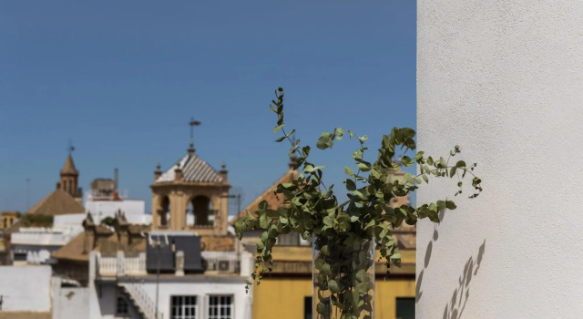 Palacio Jardines De Murillo 1.5.