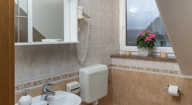 Двухместный номер Classic Rooms & Apartments Pr Matjon