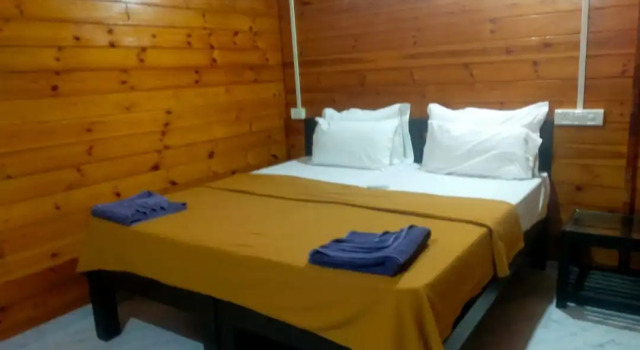 Коттедж Deluxe Agonda Paradise