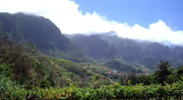 Коттедж Holidays Madeira