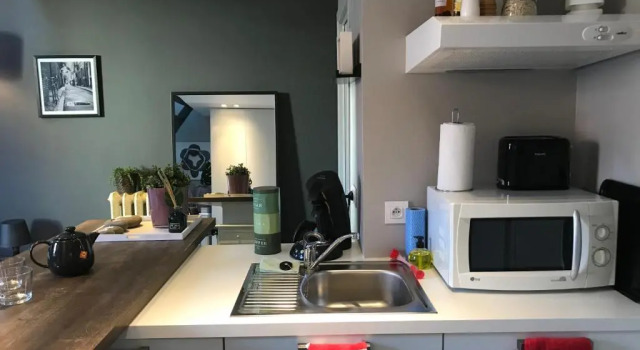 Студия Guesthouse de Loft