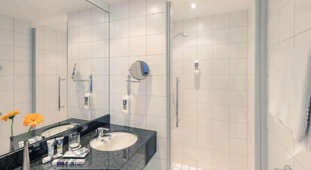 Двухместный номер Superior Mercure Neu-Isenburg