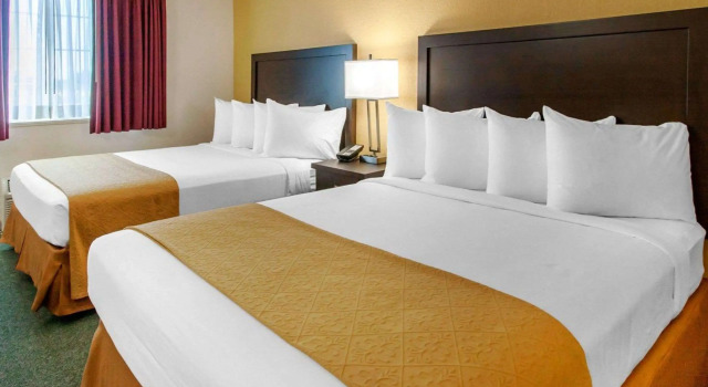 Четырёхместный номер Standard Quality Inn & Suites Springfield - Eugene North