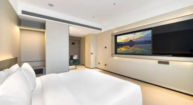 Двухместный номер Business Songyang Tianyuan International Hotel
