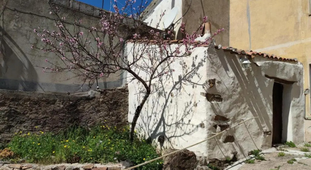 Sa Dommu 'e su coro, Book Hotel Triei Ogliastra