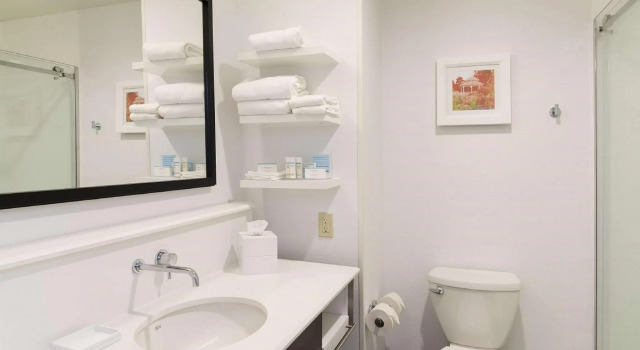 Двухместный номер Standard Hampton Inn Mount Pleasant