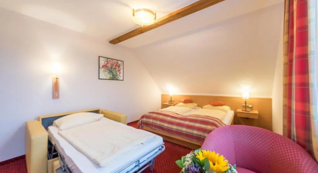 Трёхместный номер Standard Austria Classic Hotel Hölle