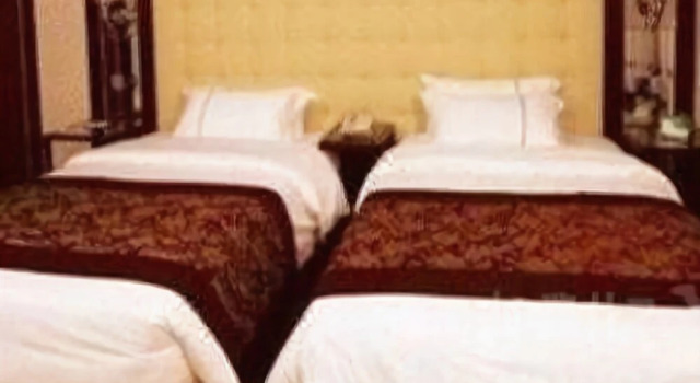 Golden Dragon Hotel(新乡金龙大酒店), Rezervovat Hotel Xinxiang Henan