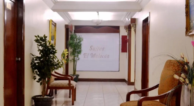 Одноместный номер Standard c 1 комнатой Hotel Malecon Inn