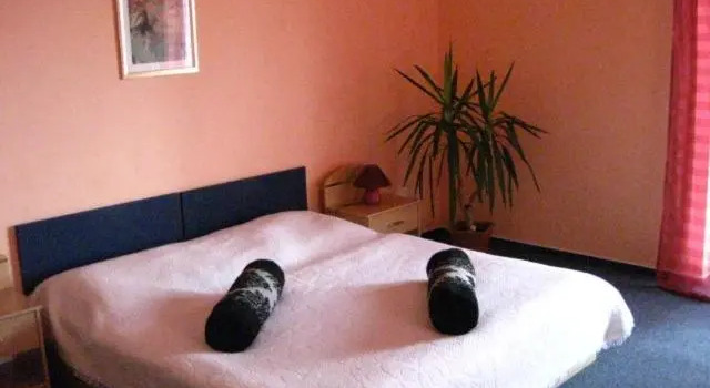 Apartment 1 Schlafzimmer mit Balkon Penzion Ariane