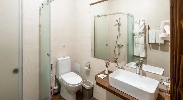 Двухместный номер Standard Osonnya Karpaty RESORT MEDICAL & SPA