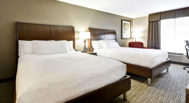 Четырёхместный номер Standard Hilton Garden Inn Sarasota-Bradenton Airport