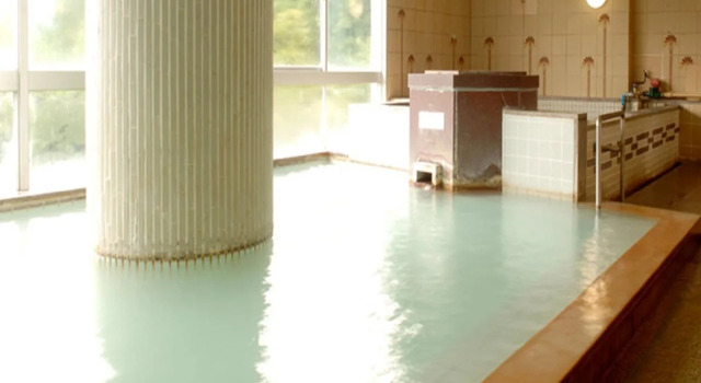 Hotel Hakone Powell, Prenota Hotel Hotel a Hakone con piscina, Piscina