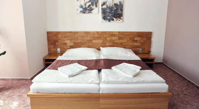 Vila Encore, Book Hotel Valasske Mezirici 