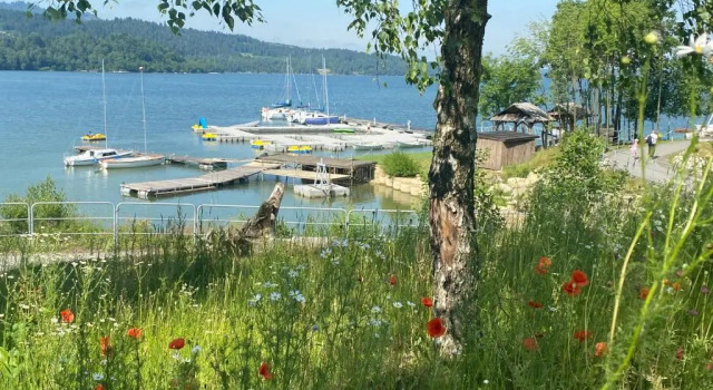 Апартаменты с видом на озеро Apartament Czorsztyn Lake & Ski