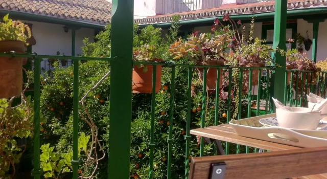 Апартаменты Tradicional Oasis Sevillano