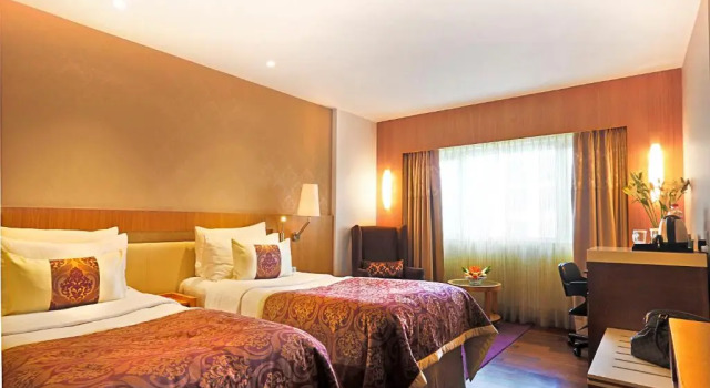 Двухместный номер Deluxe Hotel Bawa International