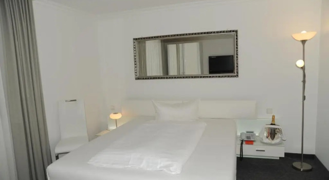 Номер Comfort Hotel Adler - Weil am Rhein