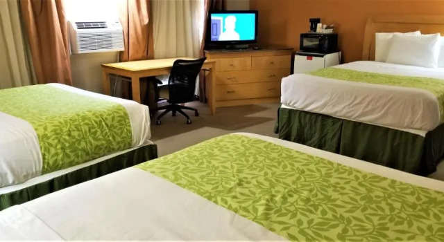 Standard double chambre Lyons Inn