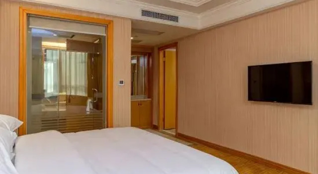 Люкс Deluxe Vienna International Hotel (Huizhou Xinyu Government Square)