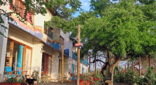 Кровать в общем номере Playa del Ritmo Beach Hostel & Bar