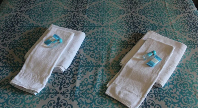 Одноместный номер Hotel Planas