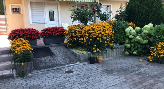 Апартаменты József Apartments House