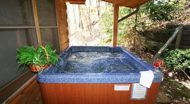 Bear Tracks 1 Bedroom 1 Bathroom Cabin
